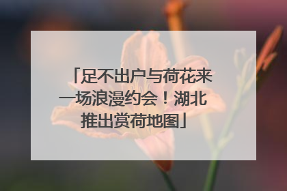足不出户与荷花来一场浪漫约会！湖北推出赏荷地图
