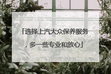 选择上汽大众保养服务，多一些专业和放心