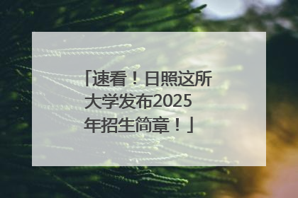 速看！日照这所大学发布2025年招生简章！