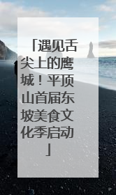 遇见舌尖上的鹰城！平顶山首届东坡美食文化季启动