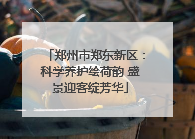 郑州市郑东新区：科学养护绘荷韵 盛景迎客绽芳华