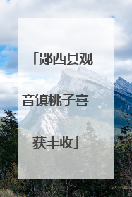 郧西县观音镇桃子喜获丰收