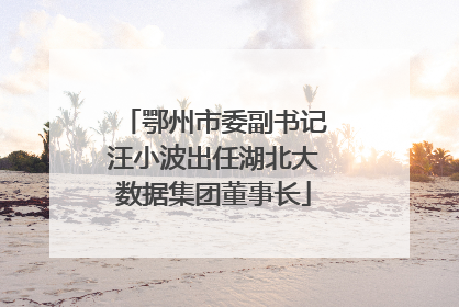 鄂州市委副书记汪小波出任湖北大数据集团董事长