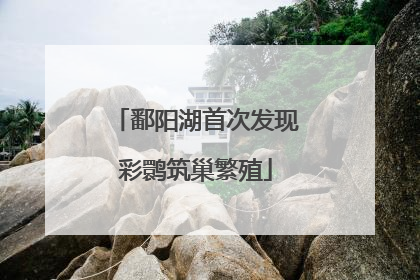 鄱阳湖首次发现彩鹮筑巢繁殖