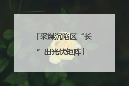 采煤沉陷区“长”出光伏矩阵