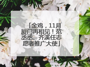 金鸡，11月厦门再相见！范丞丞、齐溪任志愿者推广大使