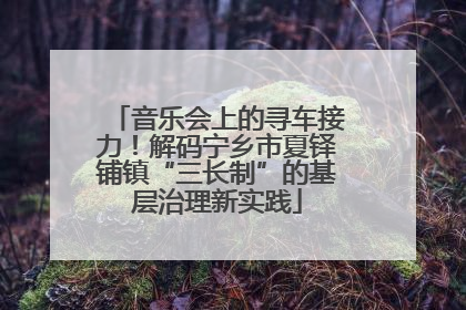 音乐会上的寻车接力！解码宁乡市夏铎铺镇“三长制”的基层治理新实践