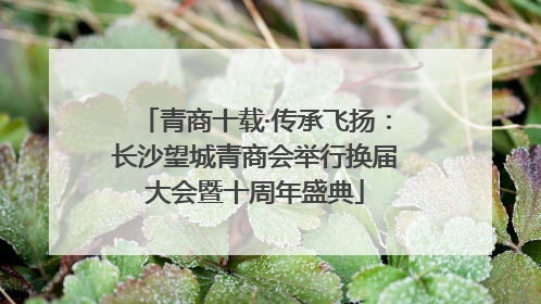 青商十载·传承飞扬:长沙望城青商会举行换届大会暨十周年盛典