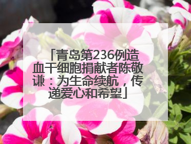 青岛第236例造血干细胞捐献者陈敬谦：为生命续航，传递爱心和希望