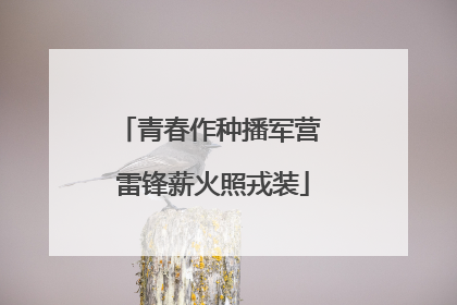 青春作种播军营 雷锋薪火照戎装