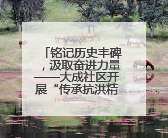 铭记历史丰碑，汲取奋进力量——大成社区开展“传承抗洪精神”主题党日活动
