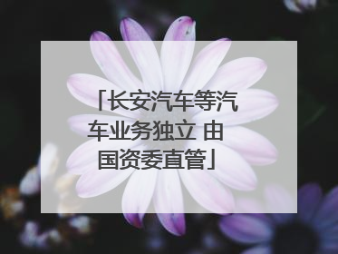 长安汽车等汽车业务独立 由国资委直管