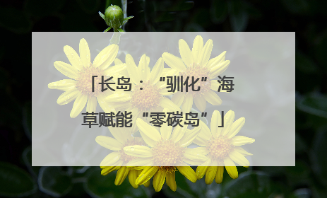 长岛：“驯化”海草赋能“零碳岛”