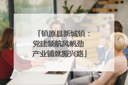 镇原县新城镇：党建领航风帆劲 产业铺就振兴路