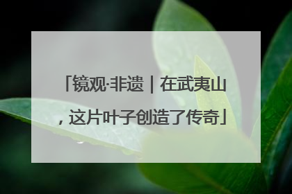 镜观·非遗｜在武夷山，这片叶子创造了传奇