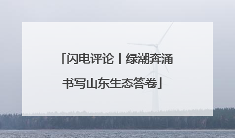 闪电评论丨绿潮奔涌 书写山东生态答卷