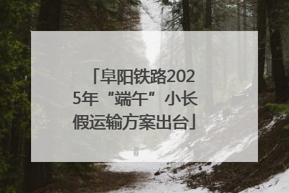 阜阳铁路2025年“端午”小长假运输方案出台