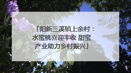 阳新三溪镇上余村：水蜜桃喜迎丰收 甜蜜产业助力乡村振兴