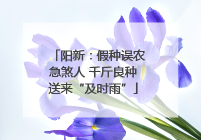 阳新：假种误农急煞人 千斤良种送来“及时雨”