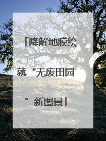 降解地膜绘就“无废田园”新图景