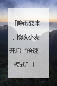 降雨要来，抢收小麦开启“倍速模式”