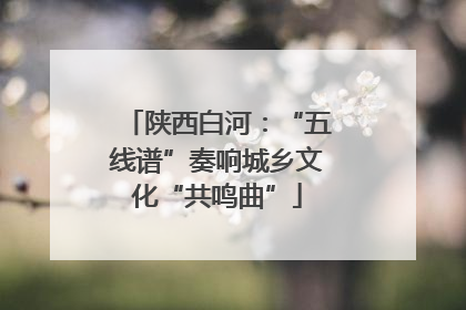 陕西白河：“五线谱”奏响城乡文化“共鸣曲”