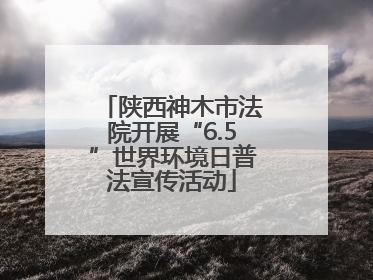 陕西神木市法院开展“6.5”世界环境日普法宣传活动