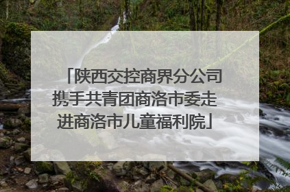 陕西交控商界分公司携手共青团商洛市委走进商洛市儿童福利院