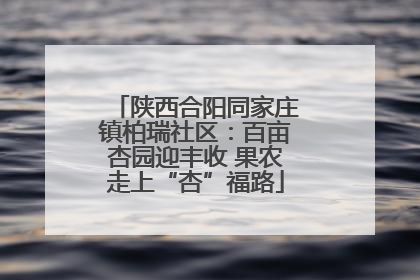 陕西合阳同家庄镇柏瑞社区：百亩杏园迎丰收 果农走上“杏”福路