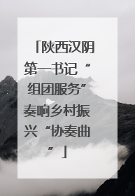 陕西汉阴第一书记“组团服务”奏响乡村振兴“协奏曲”