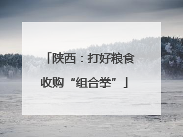 陕西：打好粮食收购“组合拳”