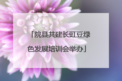 院县共建长豇豆绿色发展培训会举办