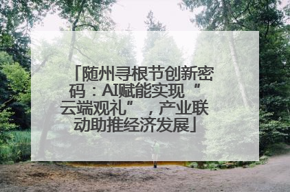 随州寻根节创新密码：AI赋能实现“云端观礼”，产业联动助推经济发展