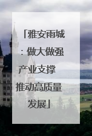 雅安雨城：做大做强产业支撑 推动高质量发展