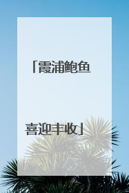 霞浦鲍鱼喜迎丰收