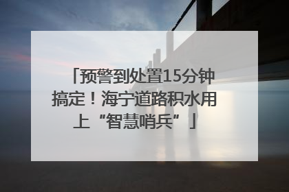 预警到处置15分钟搞定！海宁道路积水用上“智慧哨兵”