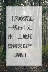 风吹麦浪一线行丨定州：土地托管带来稳产增收
