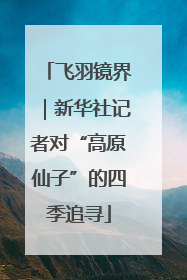 飞羽镜界｜新华社记者对“高原仙子”的四季追寻