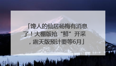 馋人的仙居杨梅有消息了！大棚版抢“鲜”开采，露天版预计要等6月