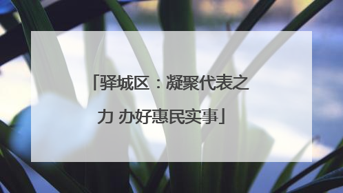 驿城区：凝聚代表之力 办好惠民实事