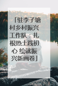 驻李子塘村乡村振兴工作队：扎根热土践初心 绘就振兴新画卷