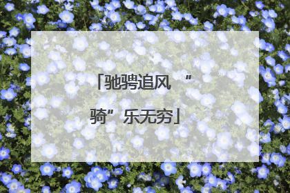 驰骋追风 “骑”乐无穷