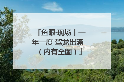 鱼眼·现场丨一年一度 驾龙出涌（内有全图）