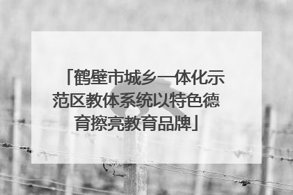鹤壁市城乡一体化示范区教体系统以特色德育擦亮教育品牌