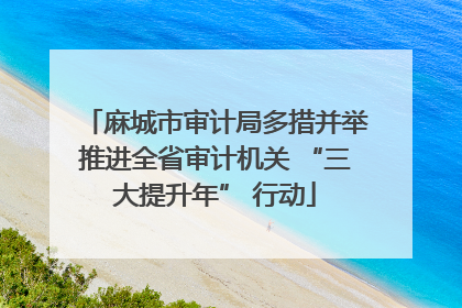 麻城市审计局多措并举推进全省审计机关 “三大提升年” 行动