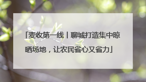 麦收第一线丨聊城打造集中晾晒场地，让农民省心又省力
