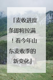 麦收进度条即将拉满！看今年山东麦收季的新变化