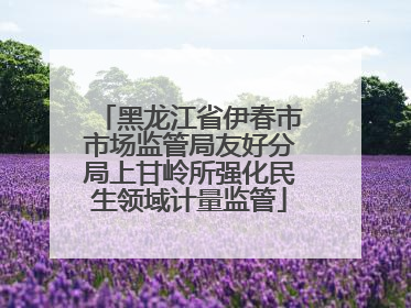 黑龙江省伊春市市场监管局友好分局上甘岭所强化民生领域计量监管