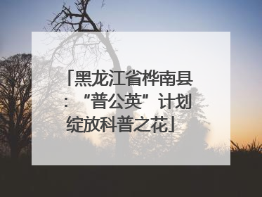 黑龙江省桦南县：“普公英”计划绽放科普之花