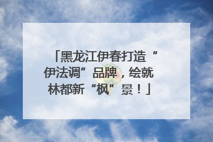 黑龙江伊春打造“伊法调”品牌，绘就林都新“枫”景！